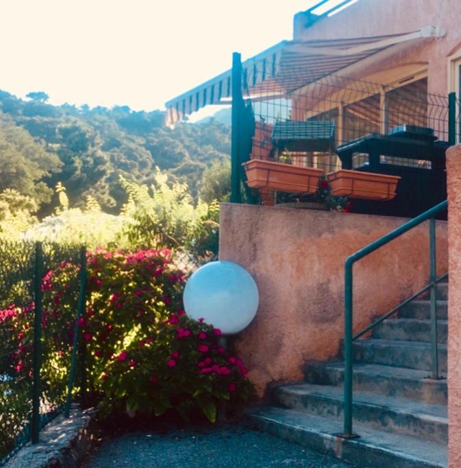 Cavalaire Vue Mer Au Loin Maisonnette Tout Equipee Pour 4 Personnes Avec Piscine Clim Wifi Velos Tv Barbecues Экстерьер фото