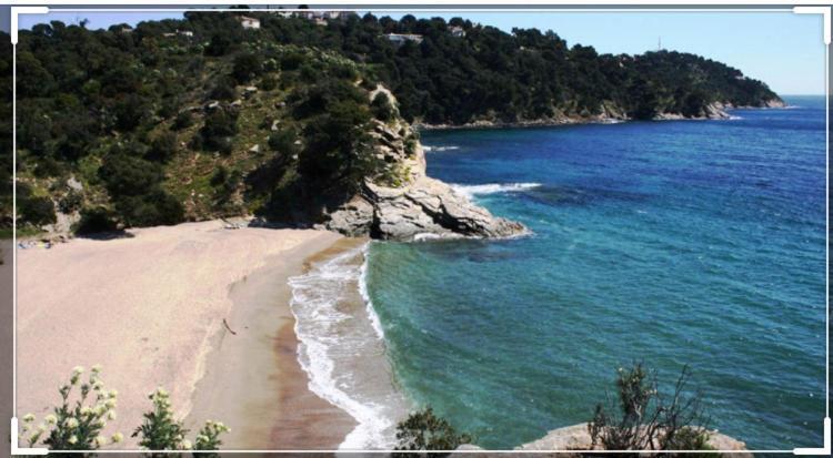 Cavalaire Vue Mer Au Loin Maisonnette Tout Equipee Pour 4 Personnes Avec Piscine Clim Wifi Velos Tv Barbecues Экстерьер фото